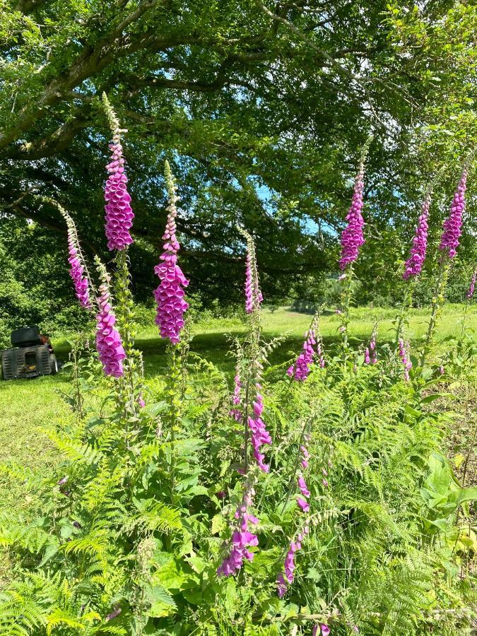 Black Mountains Glamping Hotel Abergavenny Kültér fotó